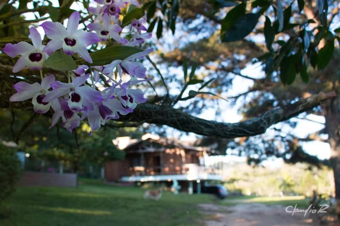 Linda Casa De Campo Виаман Экстерьер фото