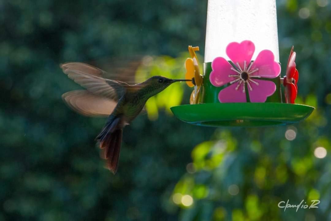 Linda Casa De Campo Виаман Экстерьер фото